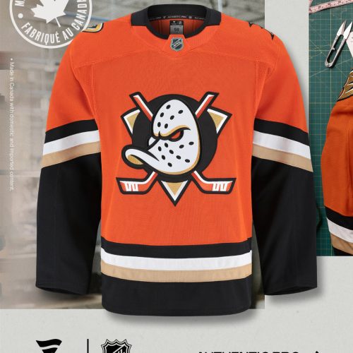 Anaheim Ducks NHL AP IG 1