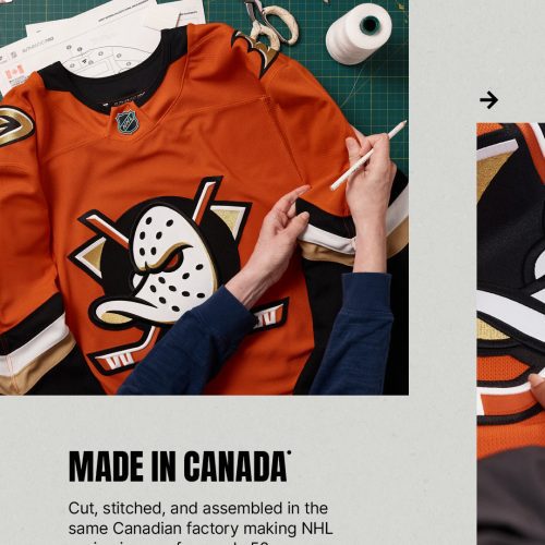 Anaheim Ducks NHL AP IG 2