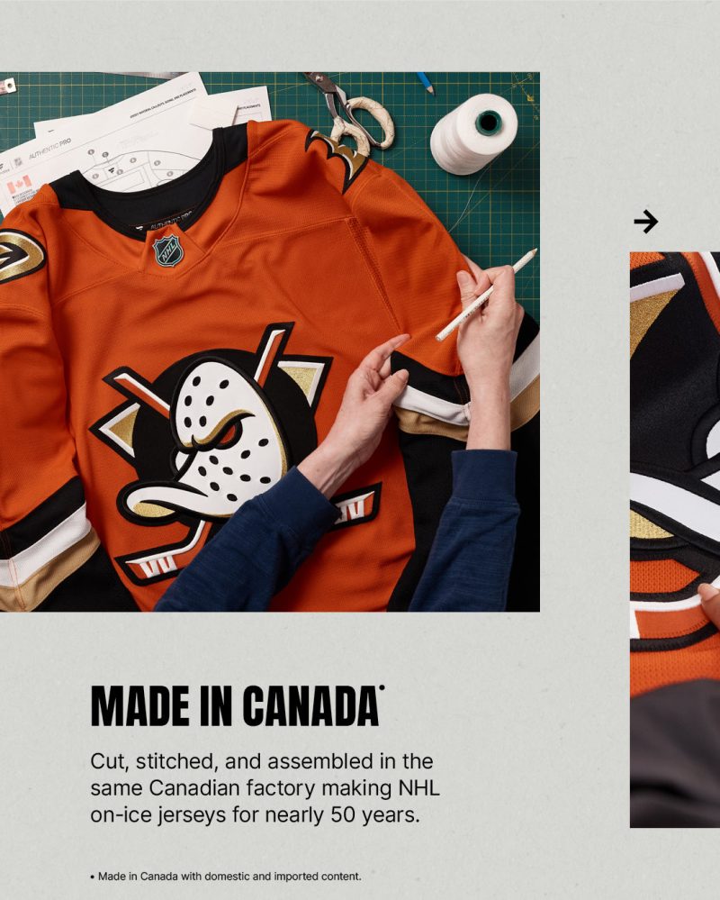 Anaheim Ducks NHL AP IG 2